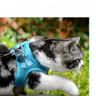 Petopia Harnais en maille pour chien