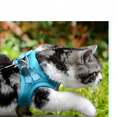 Petopia Harnais en maille pour chien
