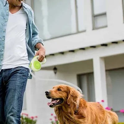 Petopia Laisse rétractable pour chien