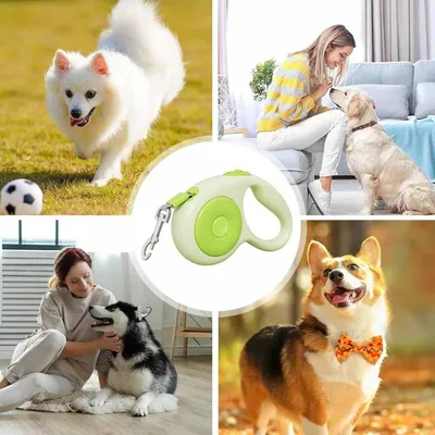 Petopia Laisse rétractable pour chien