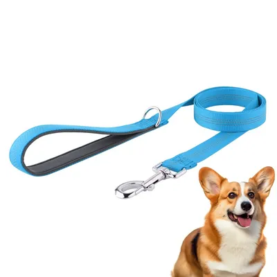 Petopia Laisse pour chien avec bande réfléchissante Petopia Laisse pour chien avec bande réfléchissante