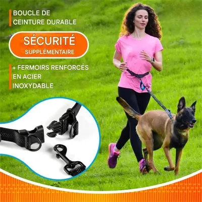 Pet Planet Laisse rétractable réfléchissante pour promenade