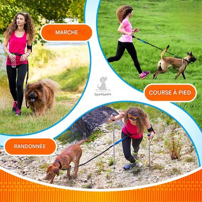 Pet Planet Laisse rétractable réfléchissante pour promenade