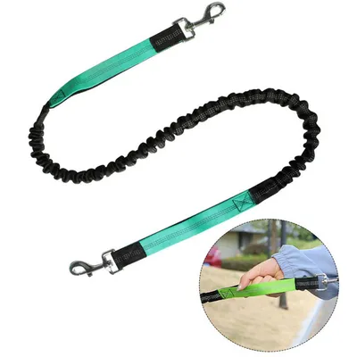 Pet Planet Laisse mains libres pour chien