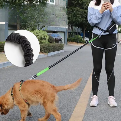 Pet Planet Laisse mains libres pour chien