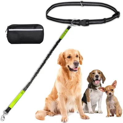 Pet Planet Laisse mains libres pour chien