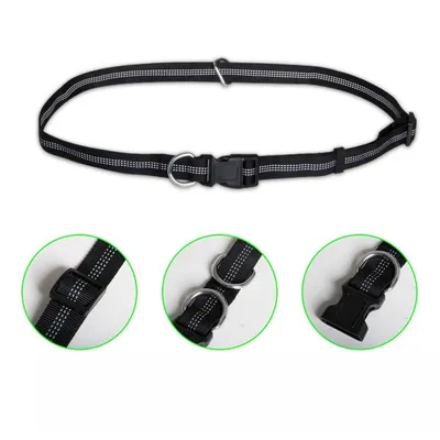 Pet Planet Laisse mains libres pour chien