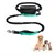 Pet Planet Laisse mains libres pour chien Pet Planet Laisse mains libres pour chien