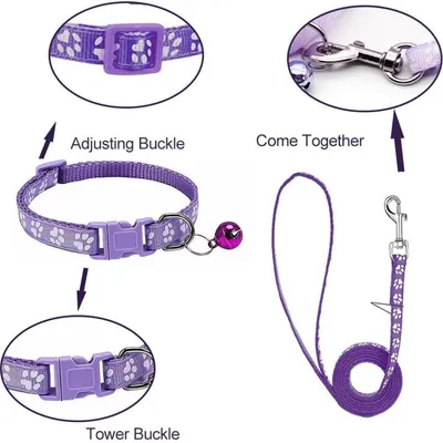 Petopia Ensemble collier et laisse pour petit chien