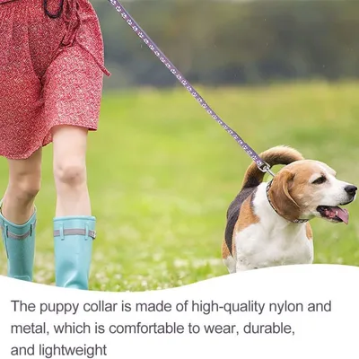 Petopia Ensemble collier et laisse pour petit chien