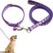 Petopia Ensemble collier et laisse pour petit chien