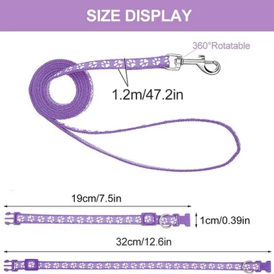 Petopia Ensemble collier et laisse pour petit chien