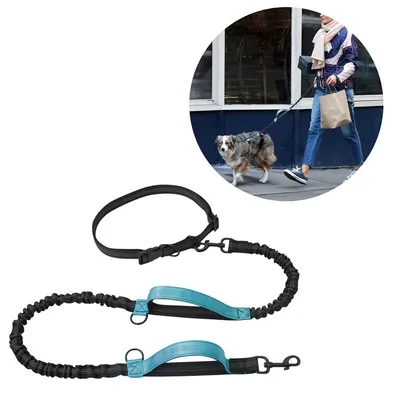 Pet Planet Laisse de course rétractable double pour chien Pet Planet Laisse de course rétractable double pour chien