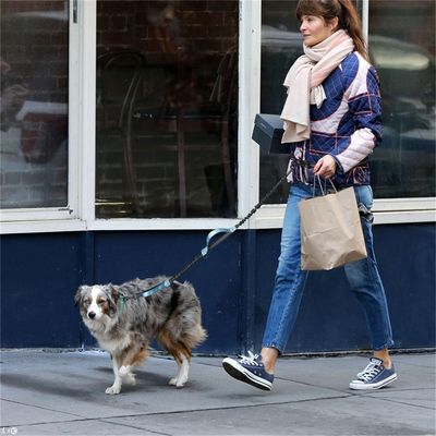 Pet Planet Laisse de course rétractable double pour chien