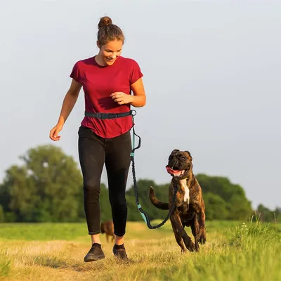 Pet Planet Laisse de course rétractable double pour chien