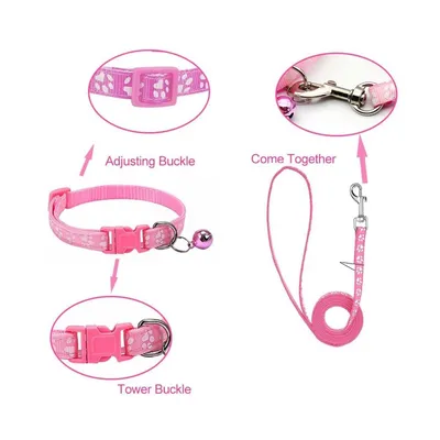 Petopia Ensemble collier et laisse pour petit chien