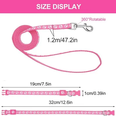 Petopia Ensemble collier et laisse pour petit chien