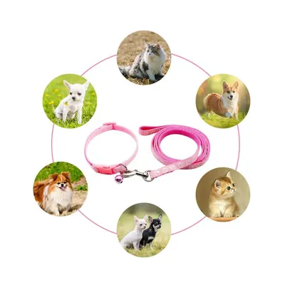 Petopia Ensemble collier et laisse pour petit chien