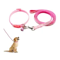 Petopia Ensemble collier et laisse pour petit chien