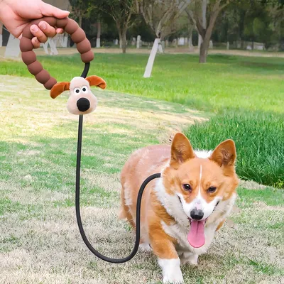 FurryFusion Laisse pour chien Cartoon