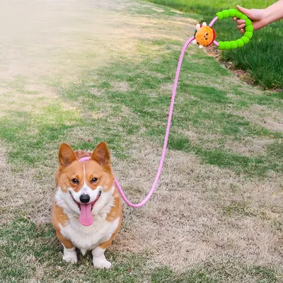 FurryFusion Laisse pour chien Cartoon