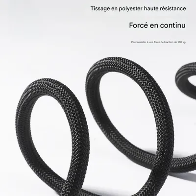 FurryFusion Laisse pour chien Cartoon