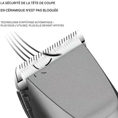 IntiMeg Tondeuse pour pattes de chiens et chats