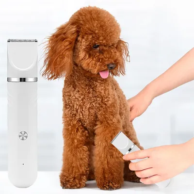 IntiMeg Tondeuse 4 en 1 pour chats et chiens