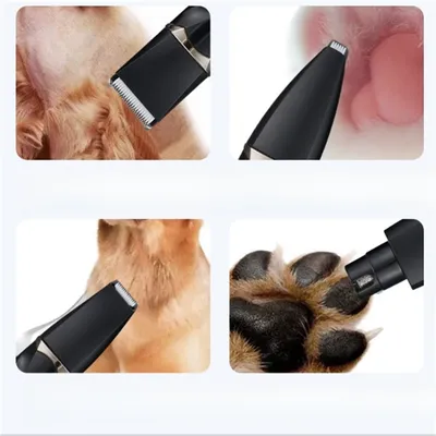 IntiMeg Tondeuse pour animaux de compagnie