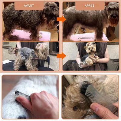 IntiMeg Tondeuse pour chiens