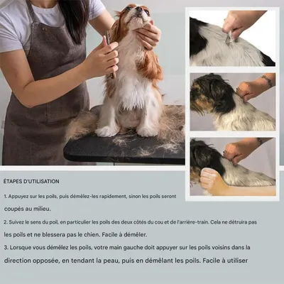 IntiMeg Hundeschermaschine