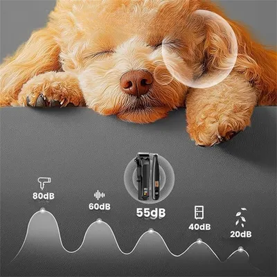 IntiMeg Ensemble Tondeuse pour chien et chat