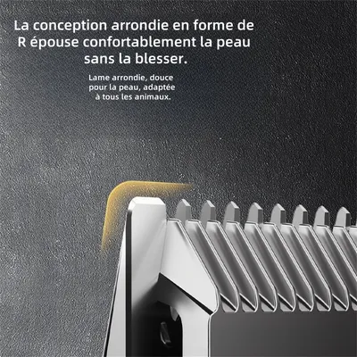 IntiMeg Ensemble Tondeuse pour chien et chat