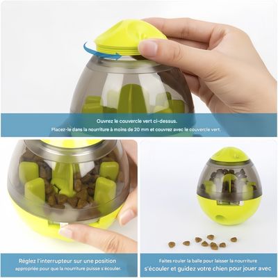 Petopia  Jouets pour chiens
