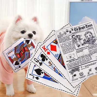 Pet Planet Jouet sonore en forme de carte de jeu 4 articles