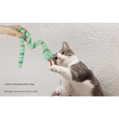 Pet Planet Chats SnakeySet Lot de 2 Jouets