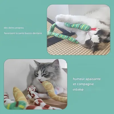 Pet Planet Chats SnakeySet Lot de 2 Jouets