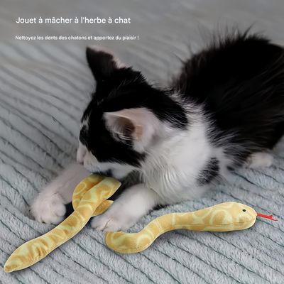 Pet Planet Chats SnakeySet Lot de 2 Jouets