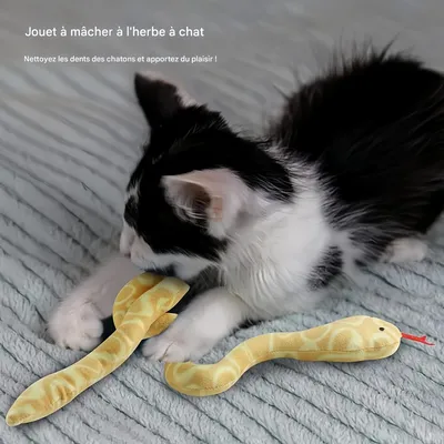 Pet Planet Chats SnakeySet Lot de 2 Jouets
