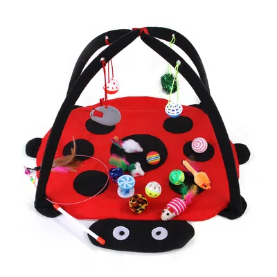 IntiMeg Tapis de jeu pour chat, 13 pièces