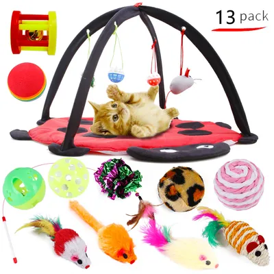 IntiMeg Tapis de jeu pour chat, 13 pièces
