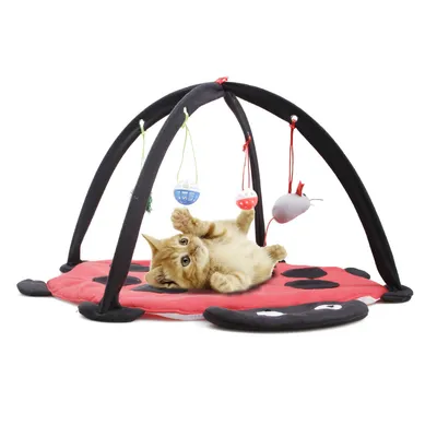 IntiMeg Tapis de jeu pour chat, 13 pièces