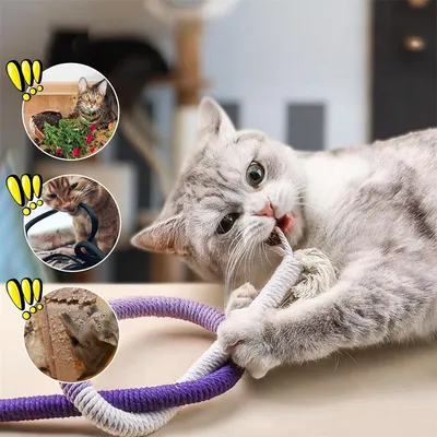 Pet Planet Jouet de dentition interactif en corde pour chat