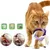 Pet Planet Jouet de dentition interactif en corde pour chat