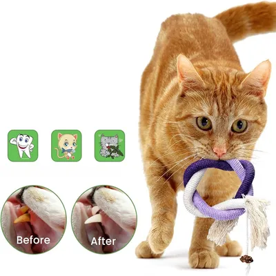 Pet Planet Jouet de dentition interactif en corde pour chat