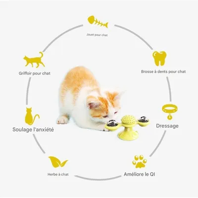 Pet Planet Chats Happy Time Jouet de Moulinet Interactif