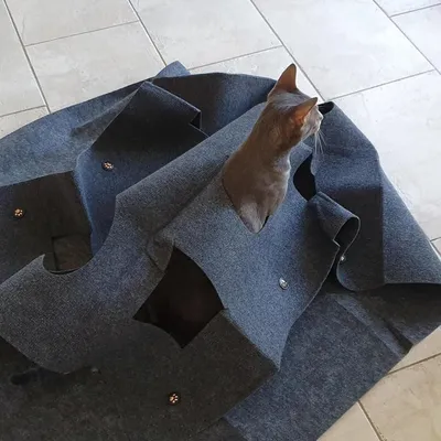IntiMeg Tapis de Jeu pour Chat