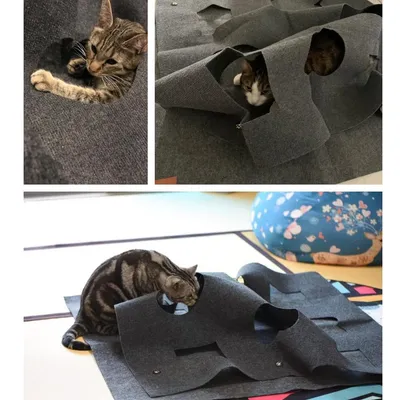 IntiMeg Tapis de Jeu pour Chat