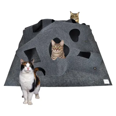 IntiMeg Tapis de Jeu pour Chat