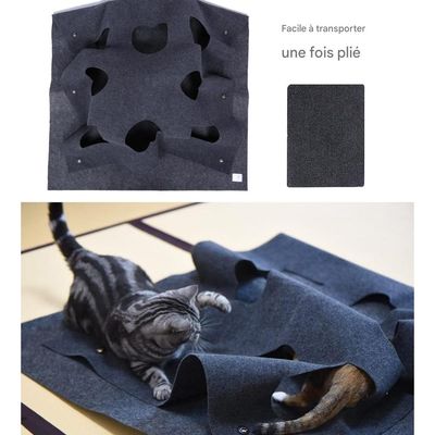 IntiMeg Tapis de Jeu pour Chat